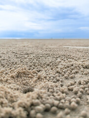 sand and sea