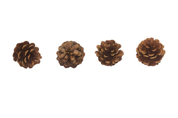 Close-up of dried pine cones for various designs isolated on a transparent background png file.