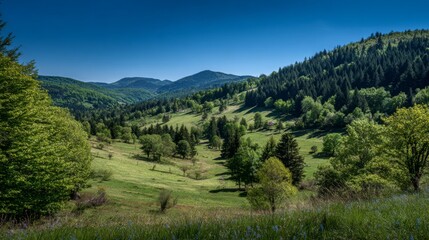 Obraz premium Serene Landscape of Lush Green Fields and Rolling Hills Under a Clear Blue Sky in a Picturesque Mountain Region