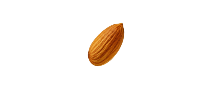 Isolated Almond Nut Macro Detail Brown Shell Healthy Snack