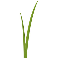 A Simple Green Grass Blade Against A Transparent White Background With Minimalist Style