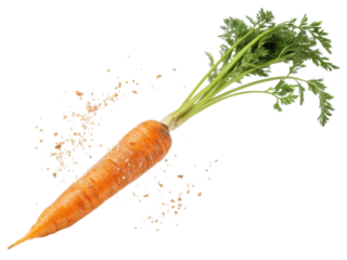 Fresh orange carrot with green top and sprinkle of salt. Healthy raw vegetable for cooking natural organic meal. Isolated food