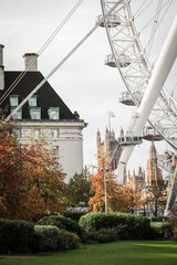 Autumn cityscape with ferris wheel cabins, historic architecture and green park under cloudy sky