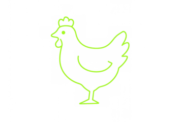Sketch of a green chicken hen, symbolizing agriculture and food creation, on a clear background