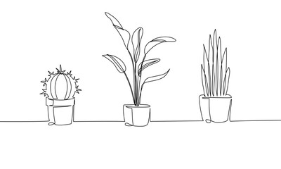 plants in a vase line art illustration
