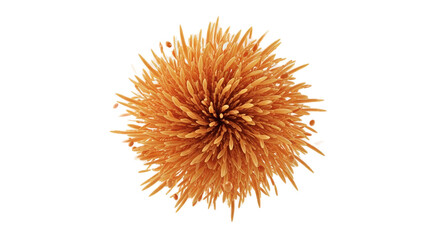 Orange Abstract Radial Burst Spherical Form Soft Orange Background