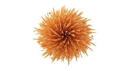 Orange Abstract Radial Burst Spherical Form Soft Orange Background