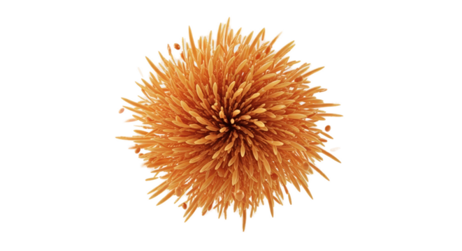 Orange Abstract Radial Burst Spherical Form Soft Orange Background