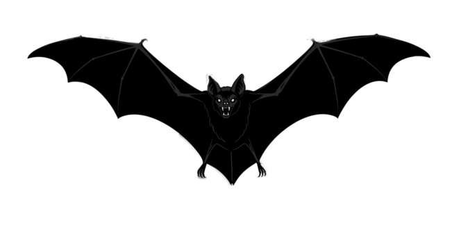 Outline Bat Flying Isolated Black Background White Gray - Powered by Adobe