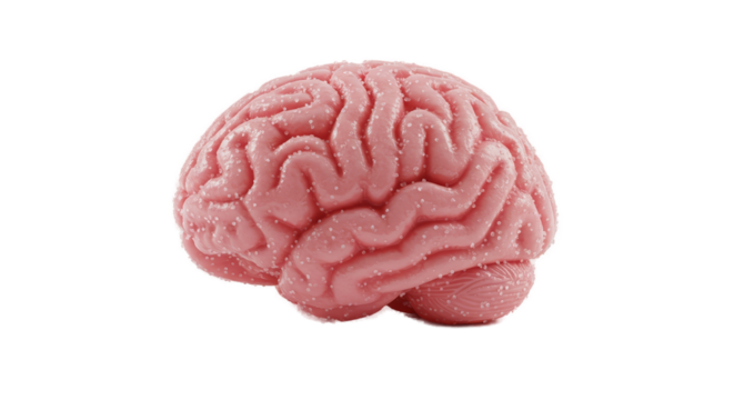 Pink 3D Brain Model with Textured Surface Isolated on Light Pink Background