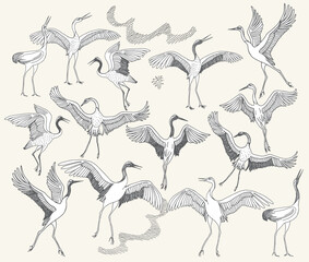 Vector dancing crane birds. Black and white hand drawn sketches on a beige background