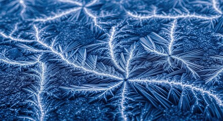 Intricate frosty patterns form delicate ice crystals on a cold surface, creating a mesmerizing natural design.