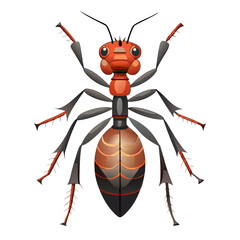 Stylized Ant Illustration &ndash; Detailed Cartoon Insect with Red and Black Body