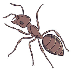 Cartoon Ant Illustration &ndash; Detailed Insect Drawing with Segmented Body and Expressive Eyes