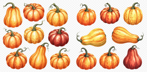 A collection of watercolor pumpkins in various shapes and colors, arranged on a transparent background.
