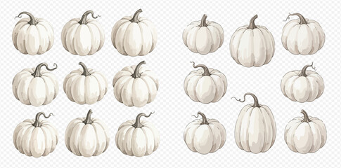 Fototapeta premium A collection of white pumpkins, arranged in a grid pattern, showcasing their unique shapes and textures.