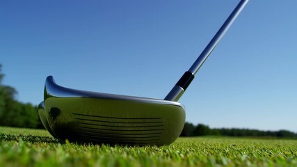 A golf club head rests in lush green grass, against a bright blue sky, ready to strike - Powered by Adobe