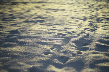 Snowy Ground with Footprints Illuminated by Golden Hour Sunlight