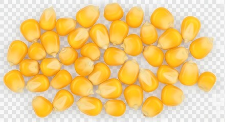 Product photograph of a golden pile of corn kernels, ready for popping into a delicious snack.