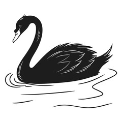 Obraz premium black swan vector