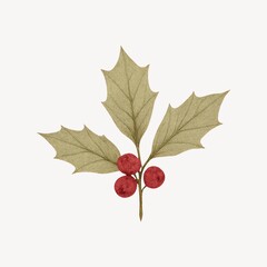 Festive holly leaves and berries