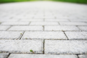 Close-Up View of Vibrant Green Grass Growing Between Grey Cobblestone Pavement