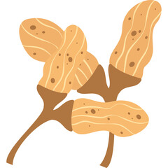 Illustration of Brown and Beige Abstract Organic Seed Pods on Thin Stems with a Transparent Background