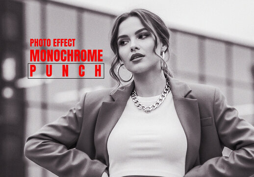 Monochrome Punch Photo Effect