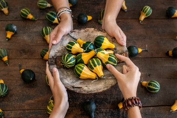 Yellow and green pear bicolor gourd . Group of pumpkins. 
