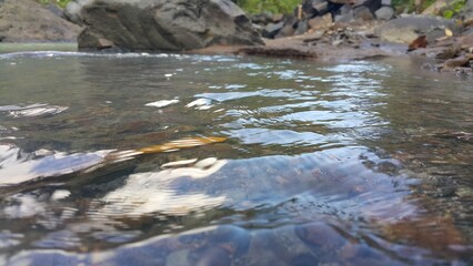 Photo of cold river water in the forest. Perfect for documentaries about tropical rainforests and World Environment Day on June 5th.

