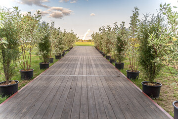 Zwei elegante Stehtische heißen die Gäste willkommen, bevor ein herrlicher Holzweg, gesäumt von frischem Grün und weißen Blüten, in die weite Natur führt. Oben glänzt eine goldene Dekoration – ein Sym