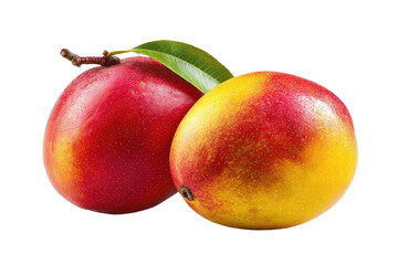 Fototapeta premium Two colorful mangos and a leaf on a dark background