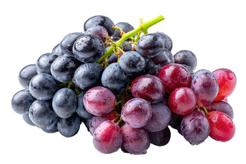 Fototapeta premium Cluster of black/red grapes, wet, on dark background