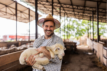 Male farmer holding smiling lamb in barn