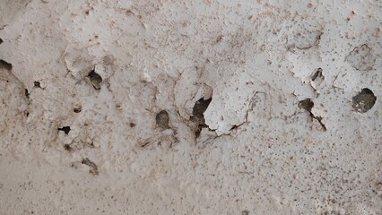 black and white image of a cracked wall. cracked white paint on a white background. old cracked texture, dry land crack texture for overlay, cracked wall texture grunge background. White black grey. 