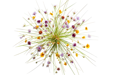 Colorful wildflower burst, central green sphere, black background
