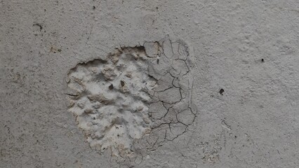 black and white image of a cracked wall. cracked white paint on a white background. old cracked texture, dry land crack texture for overlay, cracked wall texture grunge background. White black grey. 