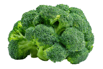 Close-up of a vibrant green broccoli floret