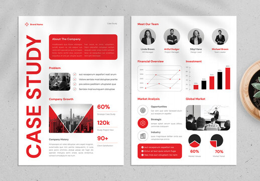 Project Case Study Report Template