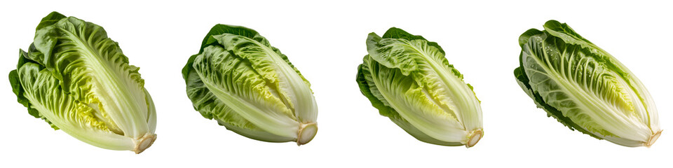 Set For Group of fresh romaine lettuce isolated on transparent background
