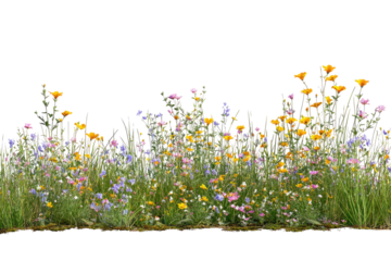 Wildflowers abound with yellow, purple, pink on green stems