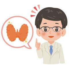 健康な甲状腺と白衣を着た男性医師　上半身イラスト／Healthy Thyroid with Male Doctor in White Coat　upper body illustration
