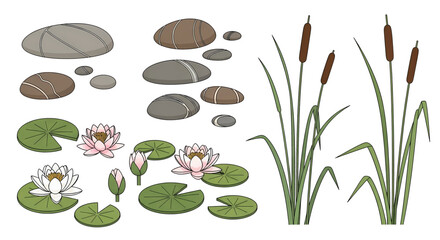 A collection of illustrated pond elements featuring river stones water lilies and cattail reeds.
