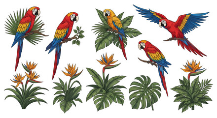Naklejka premium Vibrant Macaws and Tropical Foliage in a Collection of Illustrations.