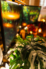 Fototapete bei efototapeten.de bestellen   