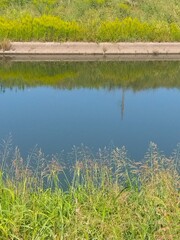 秋の青空を映す坂川放水路の水面