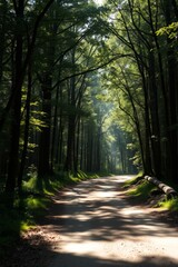 Sun-Dappled Path: An inviting, sun-dappled path winds its way through a lush forest, creating a sense of serenity and exploration. The image draws you in.