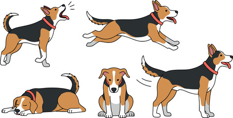 Various poses of adorable beagle dogs in different actions and positions.