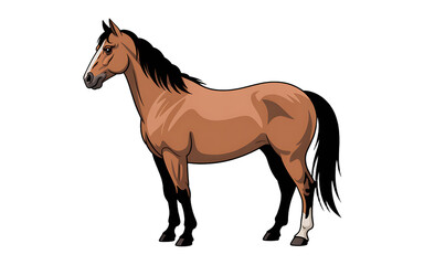 Obraz premium Brown horse standing isolated on transparent background