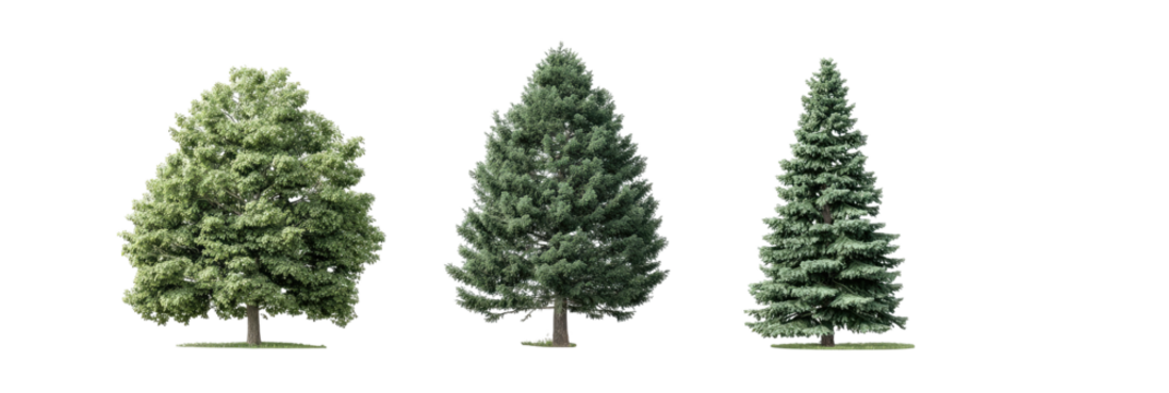 Three green trees; different shapes on a black background